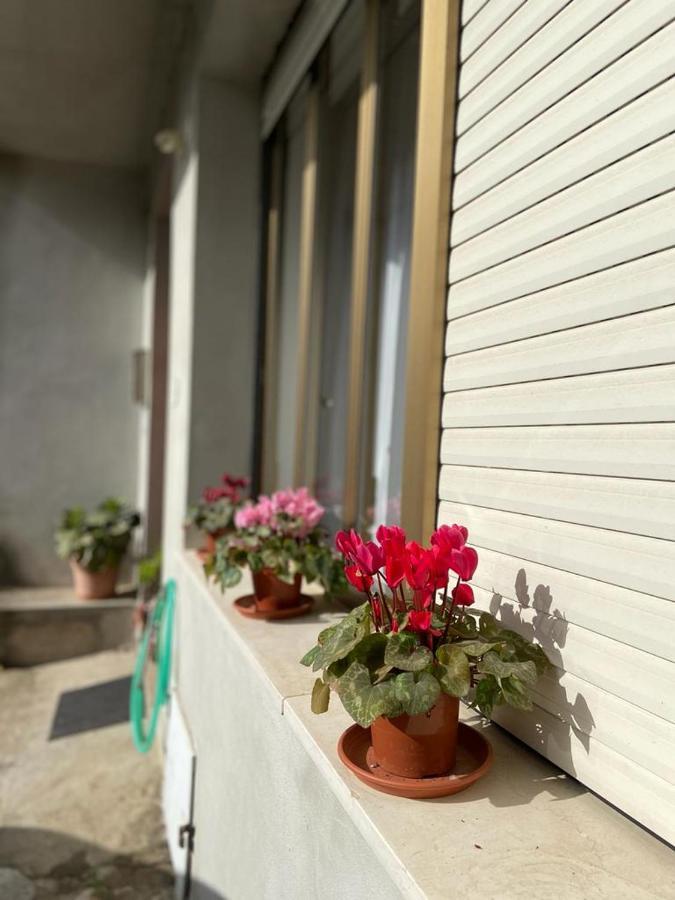 Domuspes Apartment Sedilo Екстериор снимка